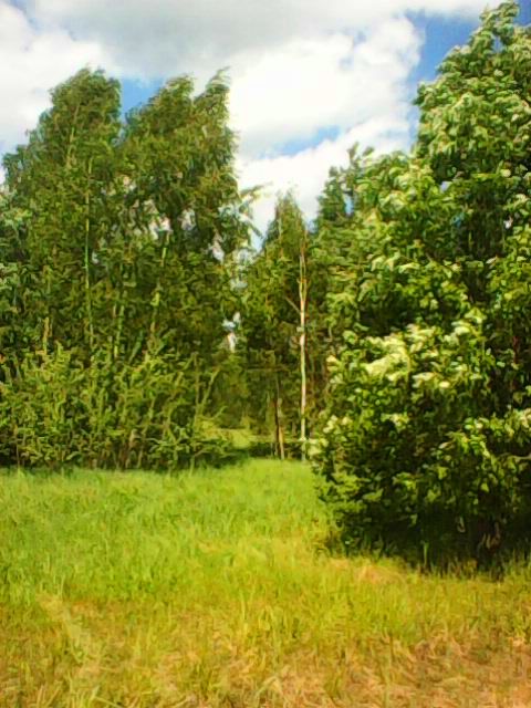 Photo1376.jpg
