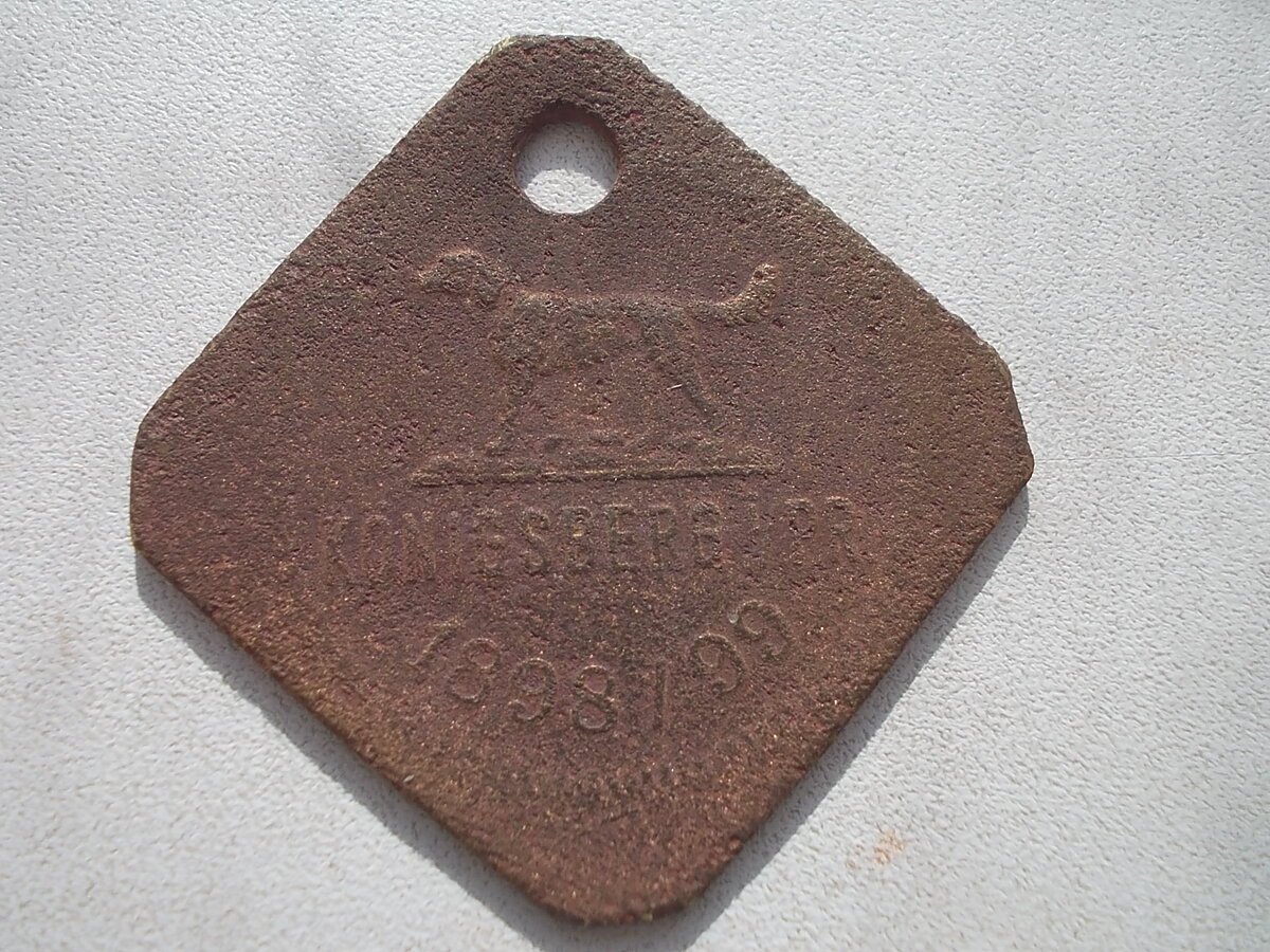 DSCN9290.JPG
