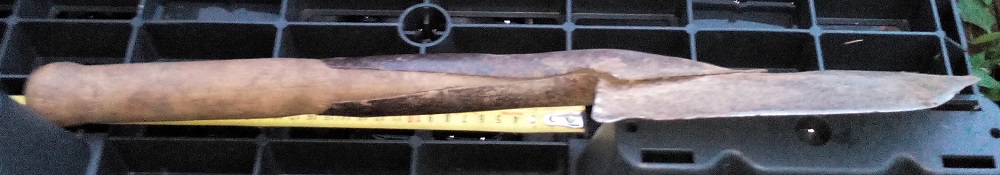 IMG_20190609_211159.jpg