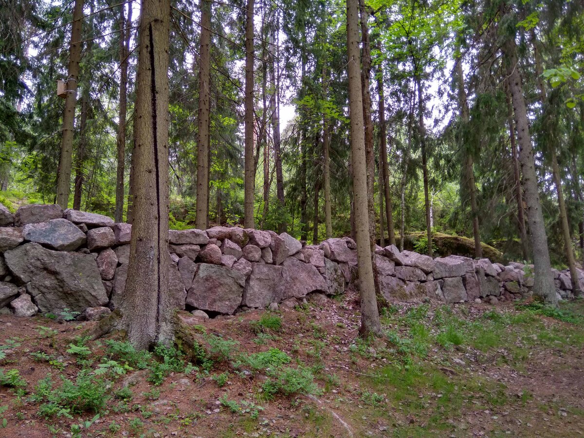 IMG_20190614_161304_HDR.jpg