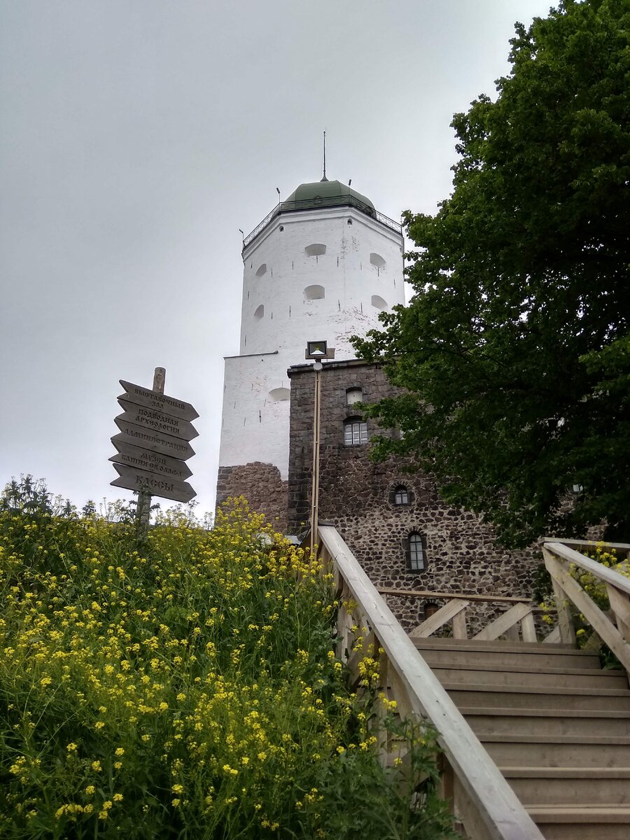 IMG_20190614_130725_HDR.jpg