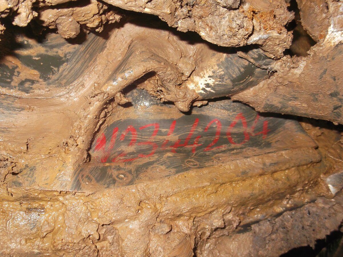 DSCF9001.JPG