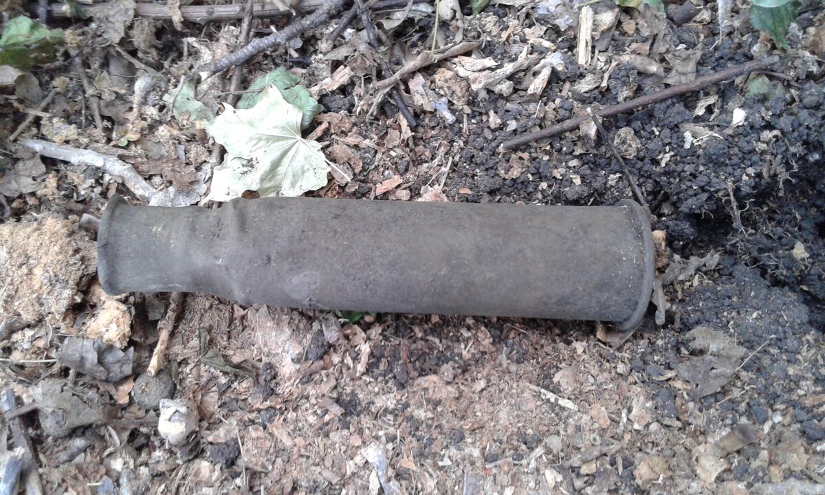 20120621_060920.jpg