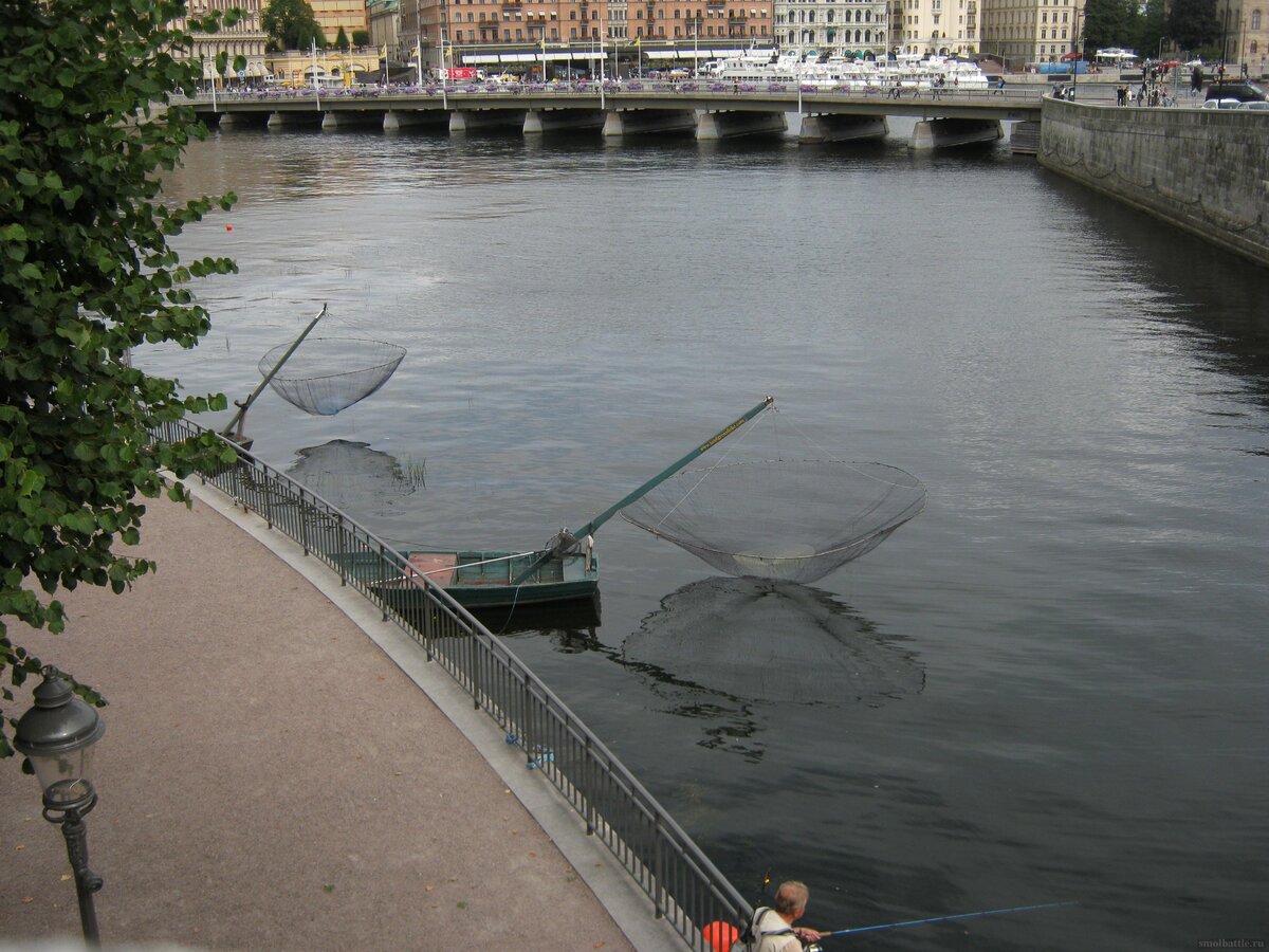 IMG_0256.JPG