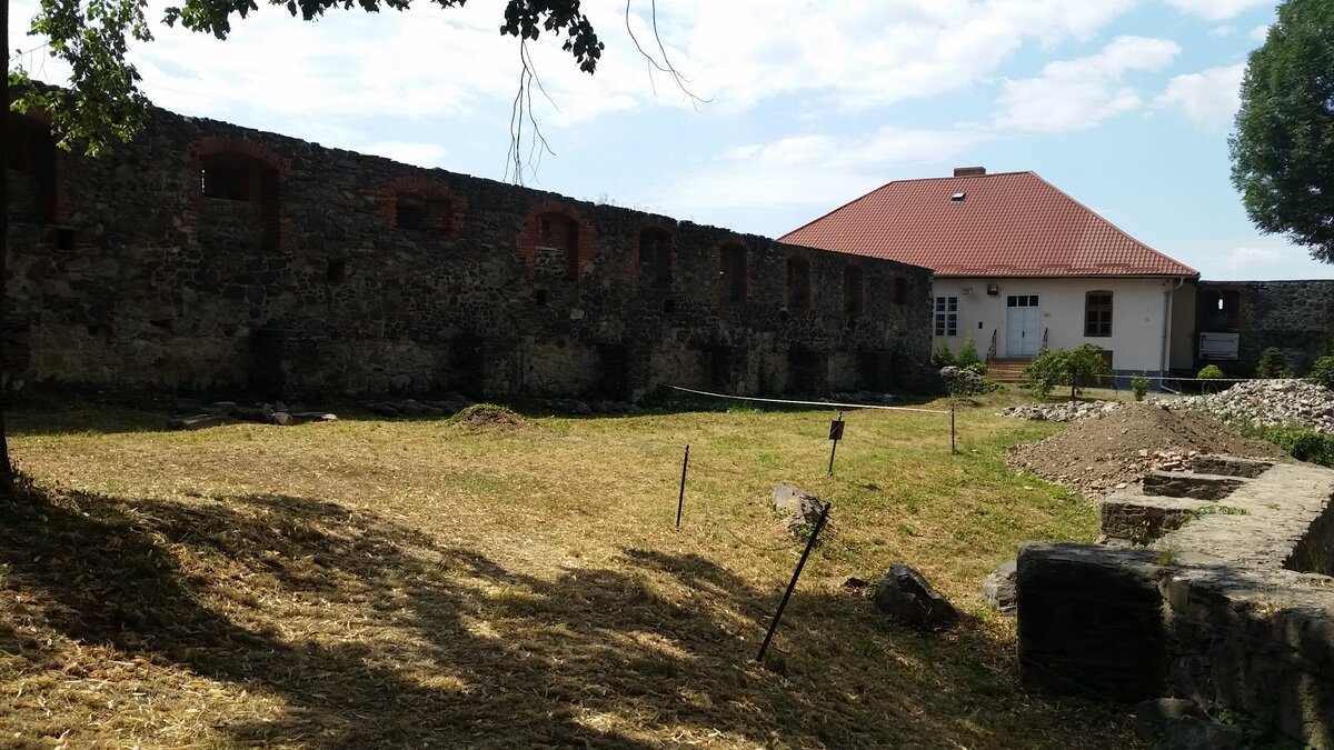 20190706_120420.jpg