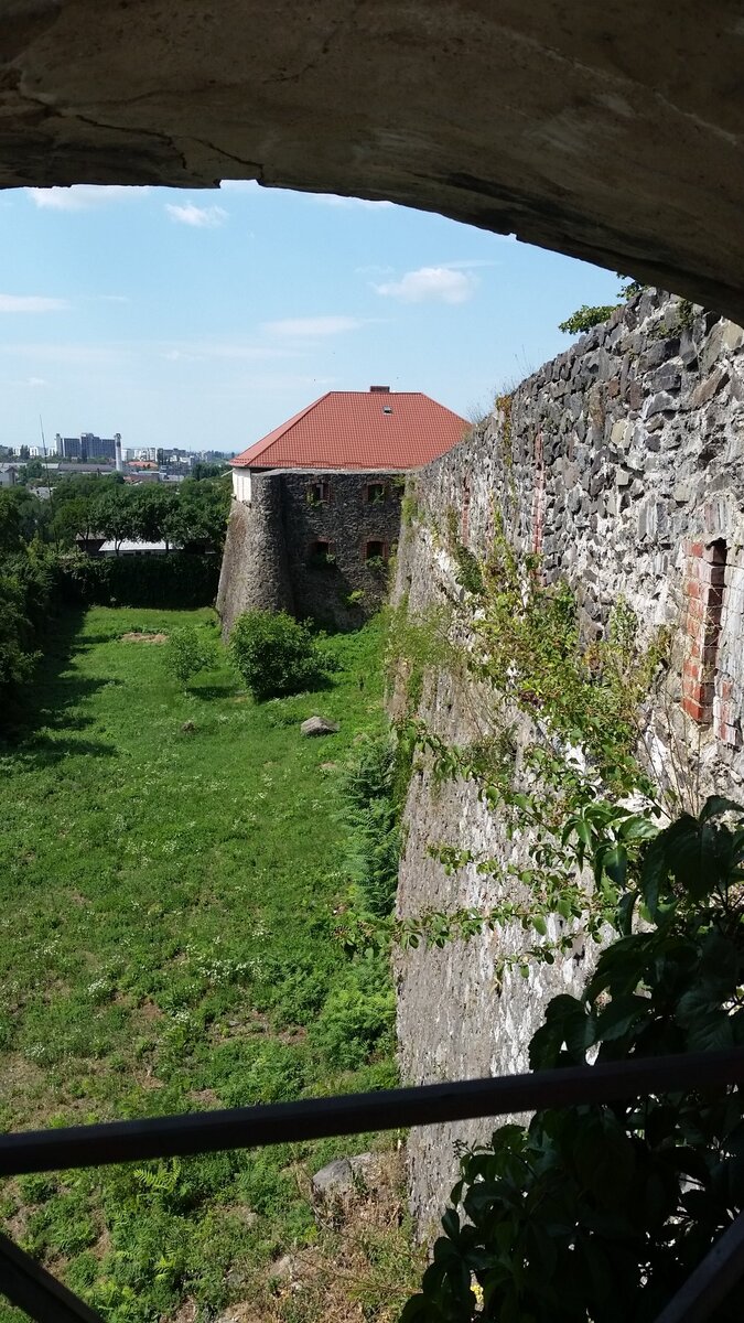 20190706_120707.jpg