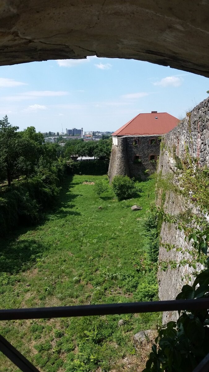 20190706_120711.jpg