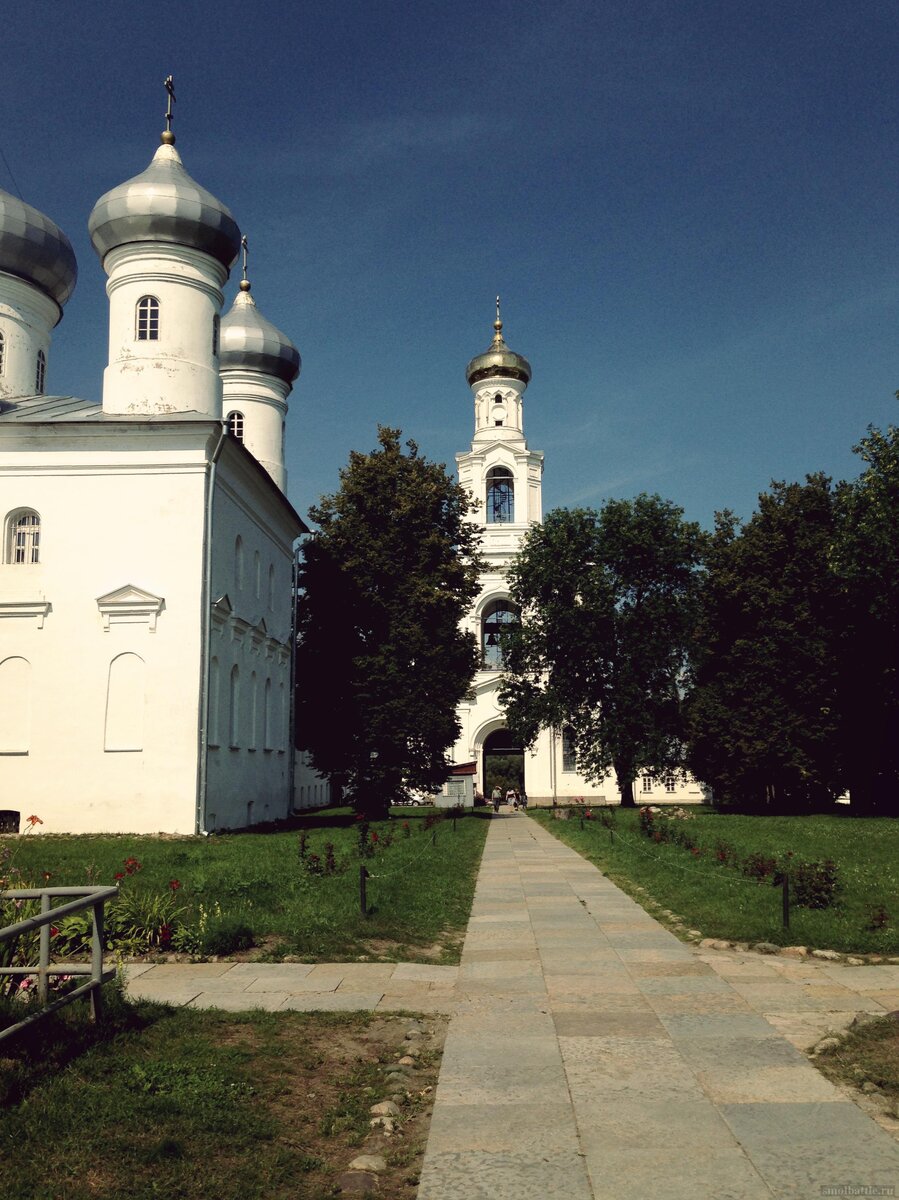 IMG_4122_Fotor.jpg