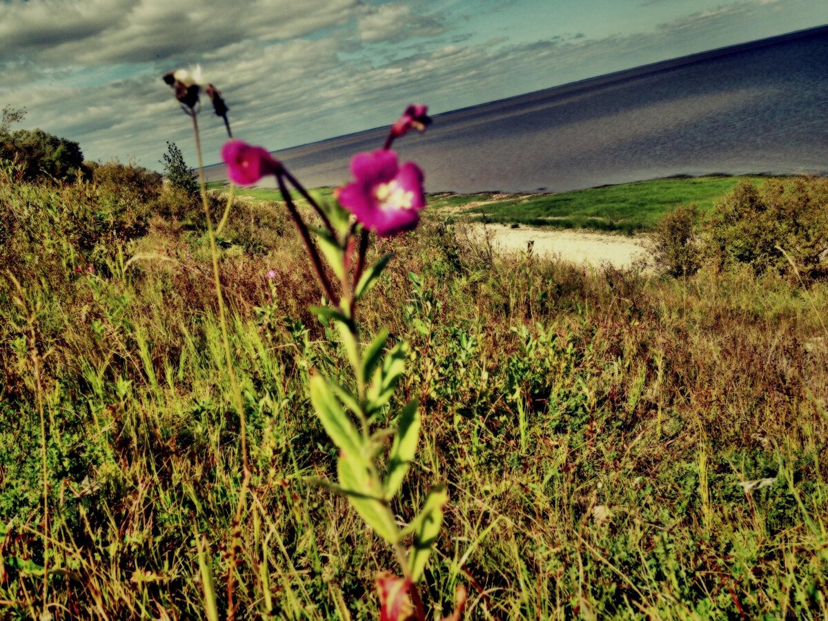 IMG_6004_Fotor.jpg
