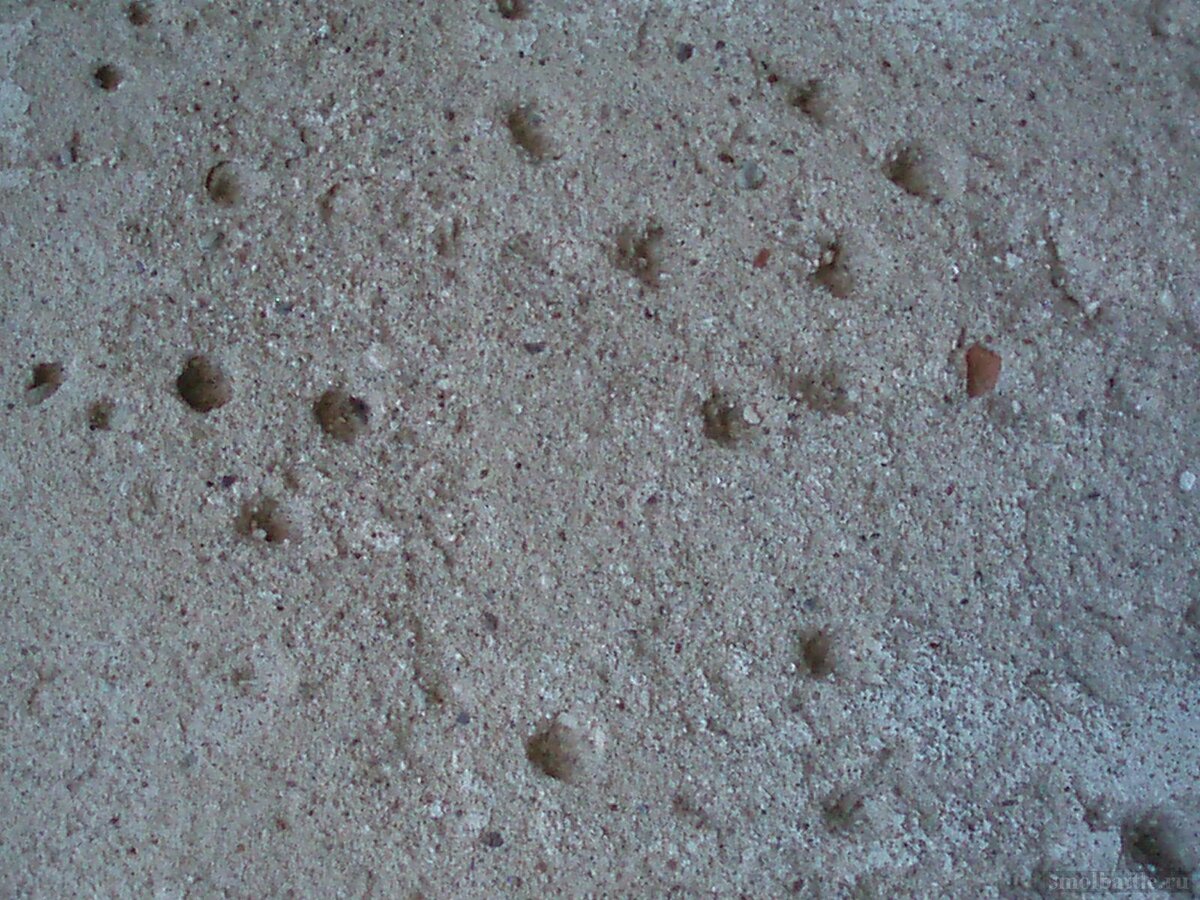 753_335.jpg