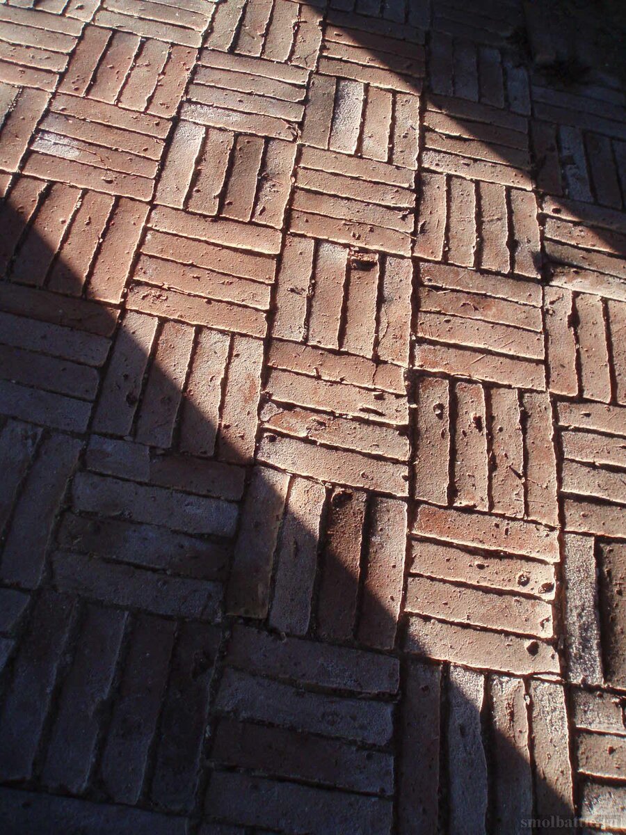 753_338.jpg