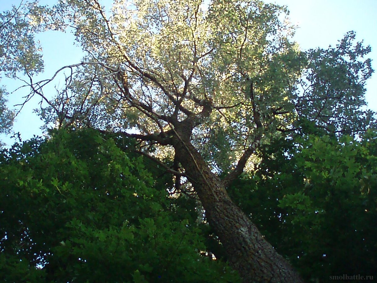 753_349.jpg