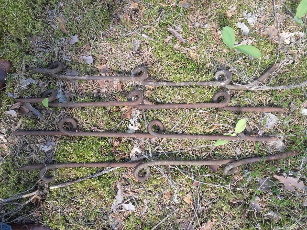 20190815_124754.jpg