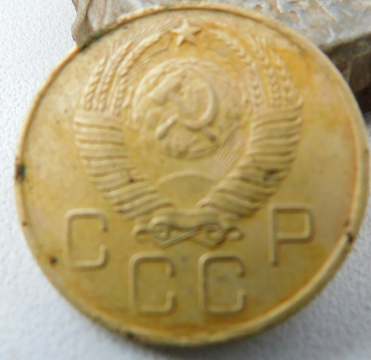 3 рев.JPG