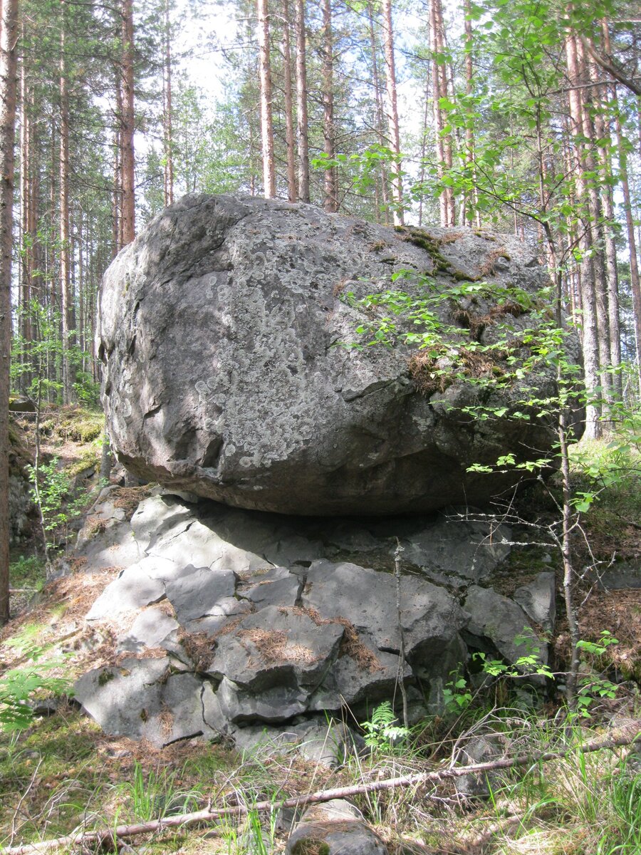 IMG_6306.JPG