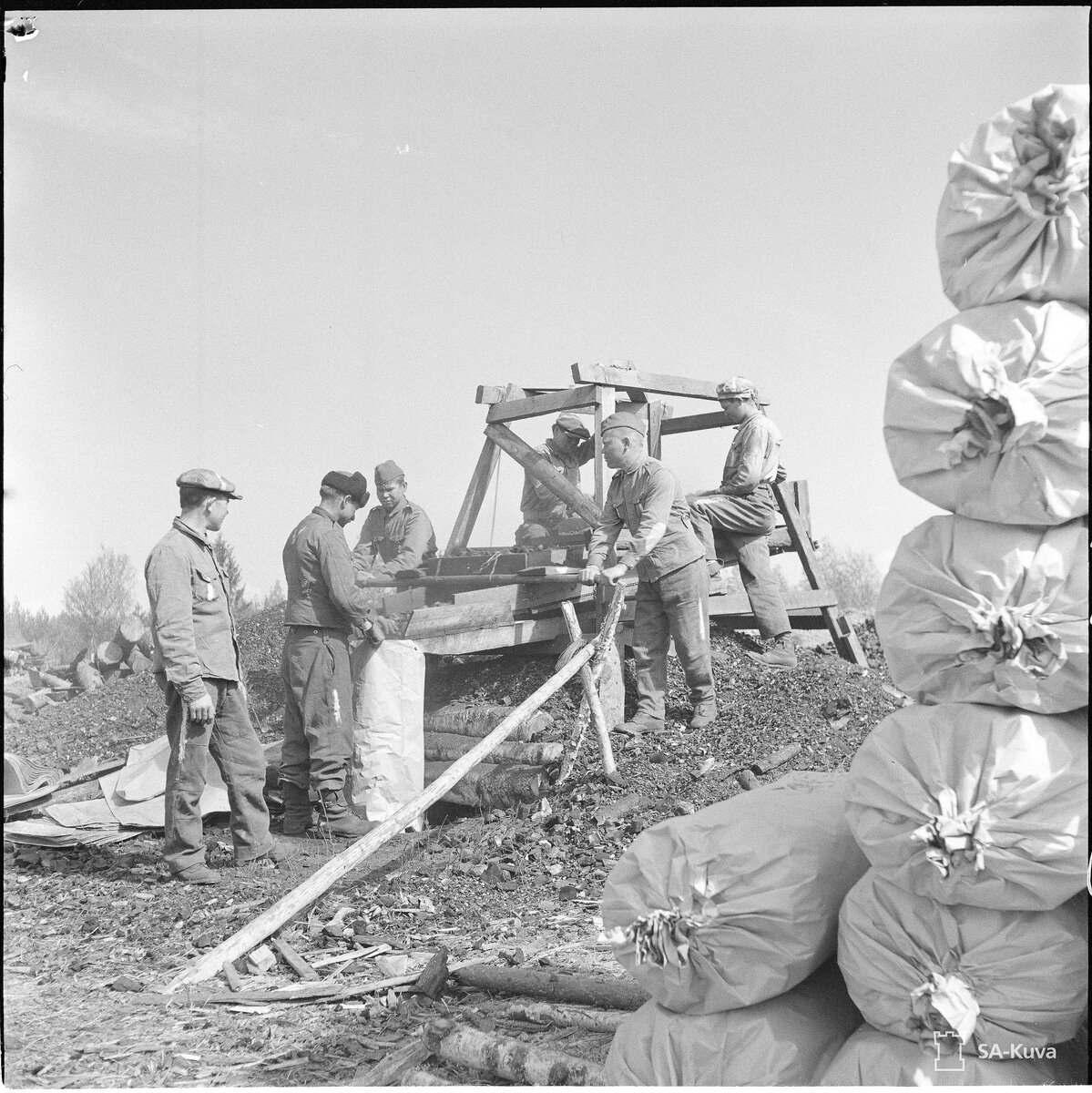 sakuva_lg_128601.jpg