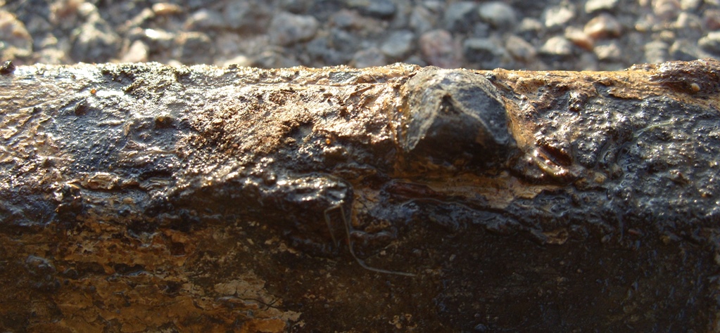 S1053329.JPG