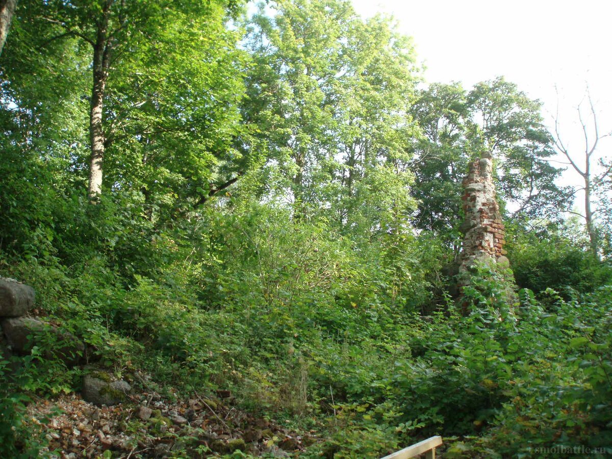 753_022.jpg