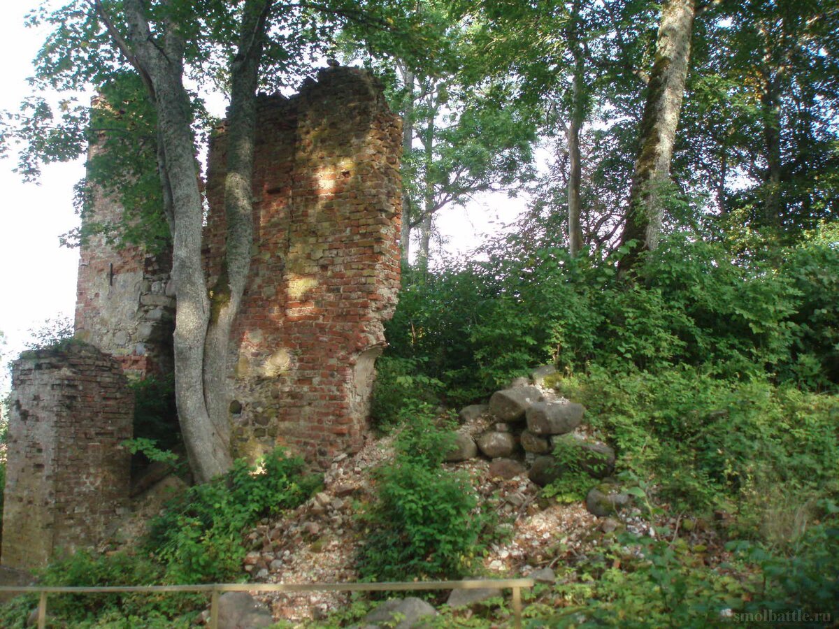 753_024.jpg