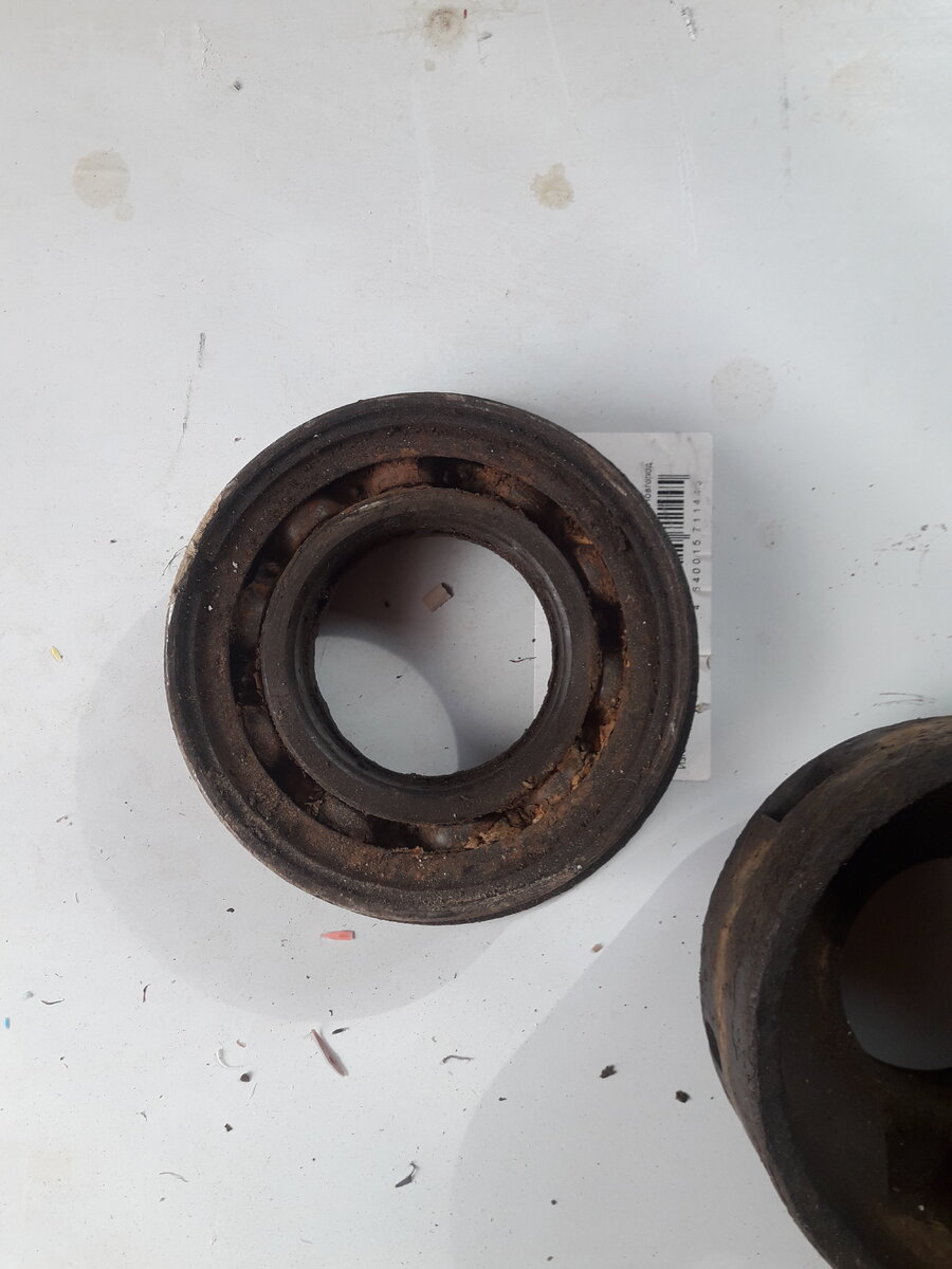 20190911_130355.jpg