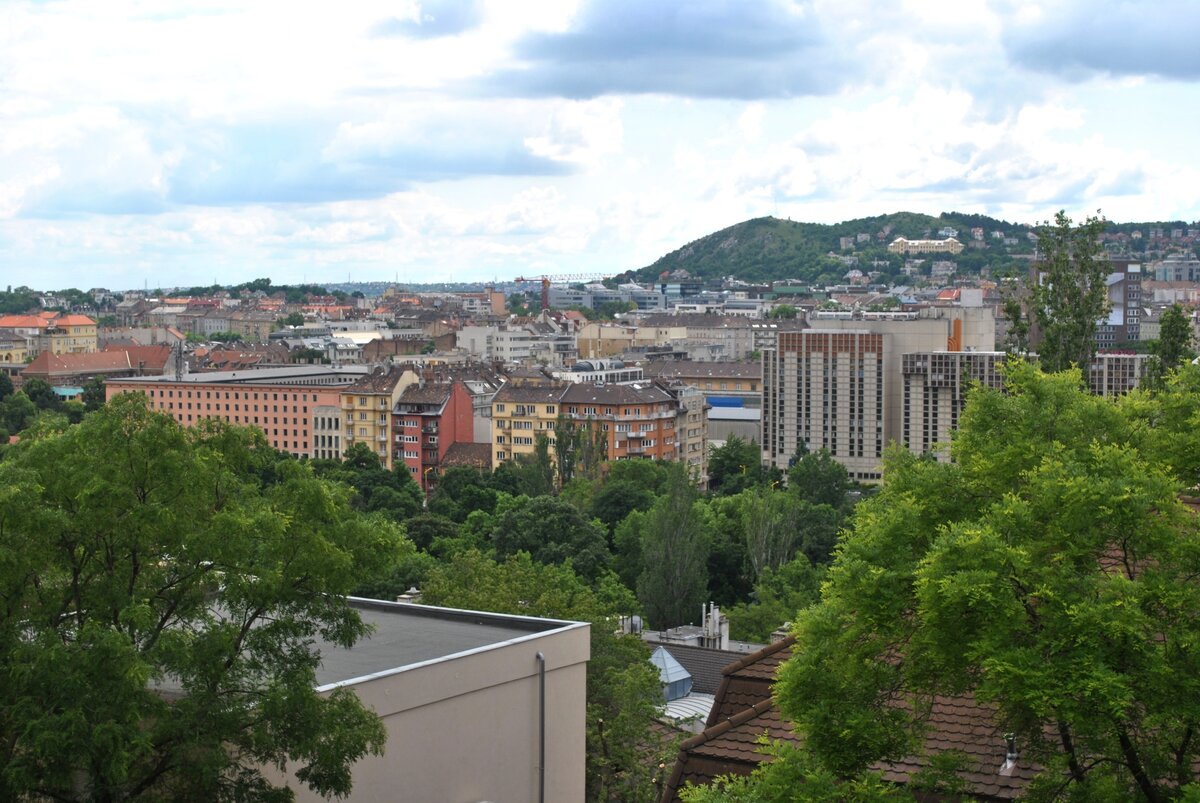 DSC_0178.JPG