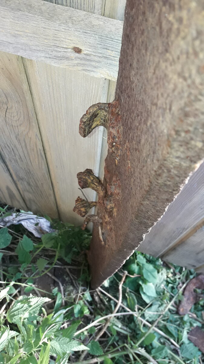 IMG-20190912-WA0129.jpeg