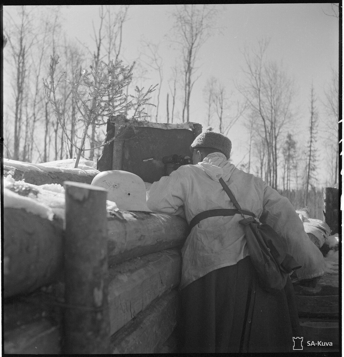 sakuva_lg_123232.jpg