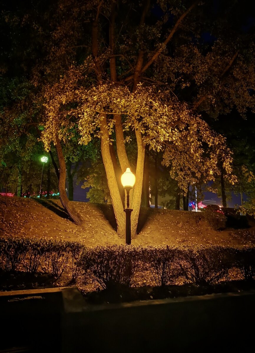 вика гомель. гомель парк грот. город гомель беларусь. гомель ночь. гомель ночь.