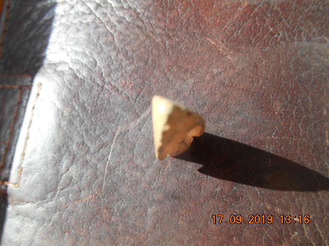 DSCN4044.JPG