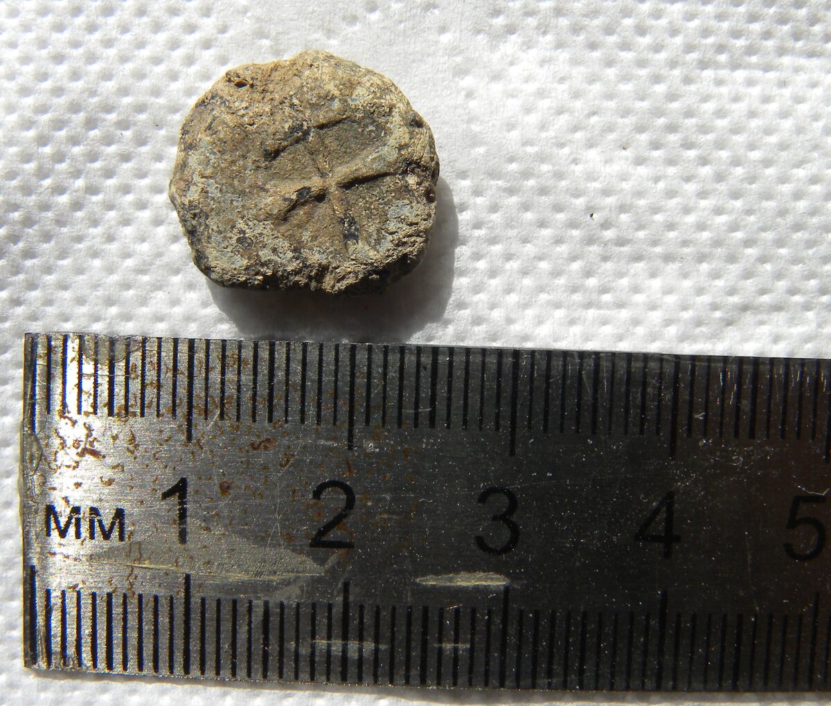 DSCN4355.JPG
