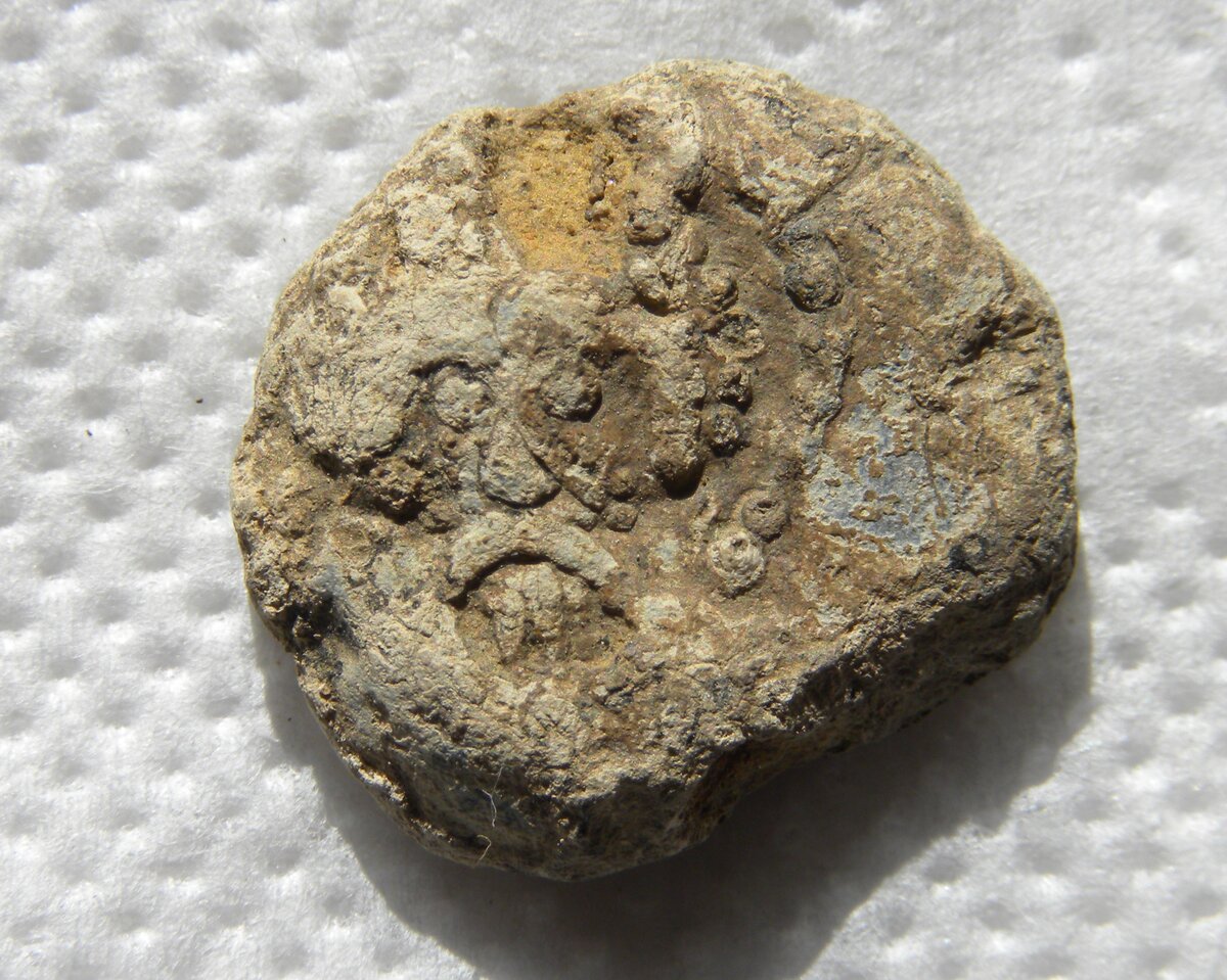 DSCN4351.JPG