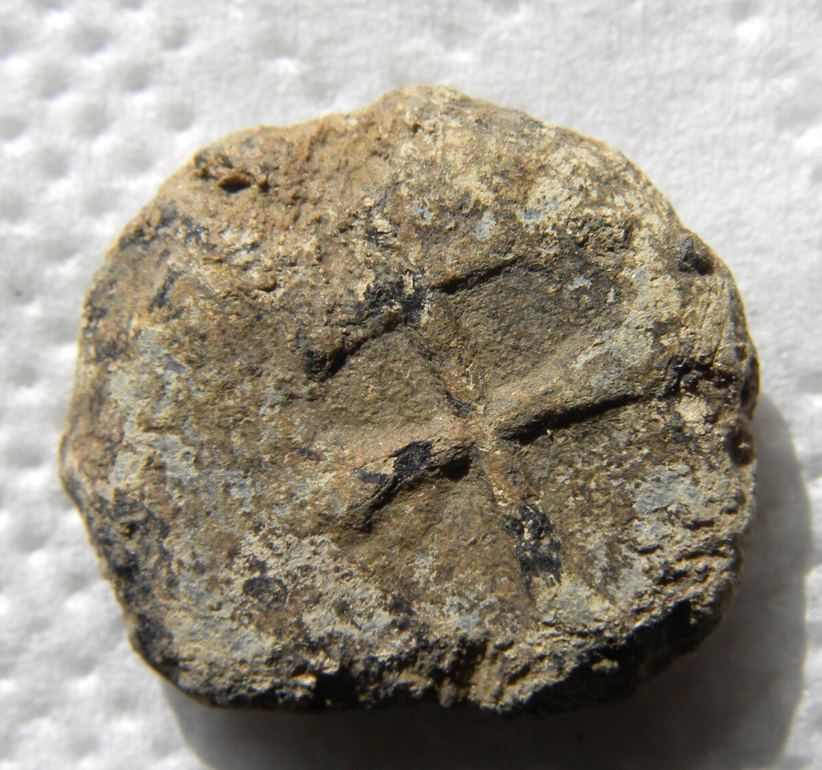 DSCN4356.JPG