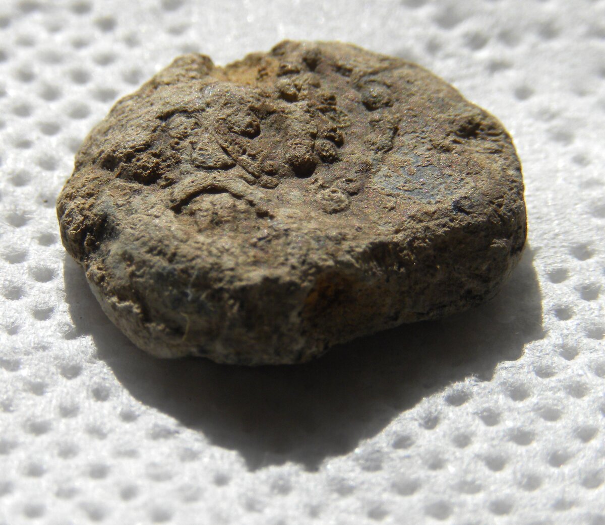 DSCN4352.JPG