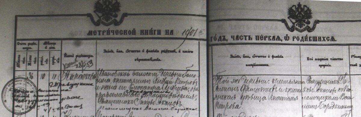 1901 р.Параскева ТРАВУШКИНА у Андрея Петрова и Клеопатры - копия.JPG