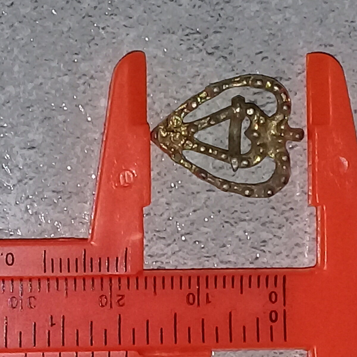 20190928_213835.jpg