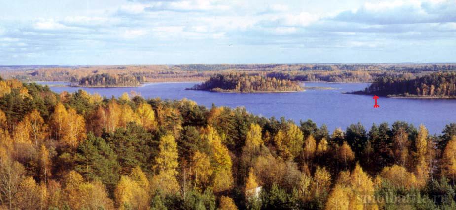 95_12.1110455885.12708.jpg