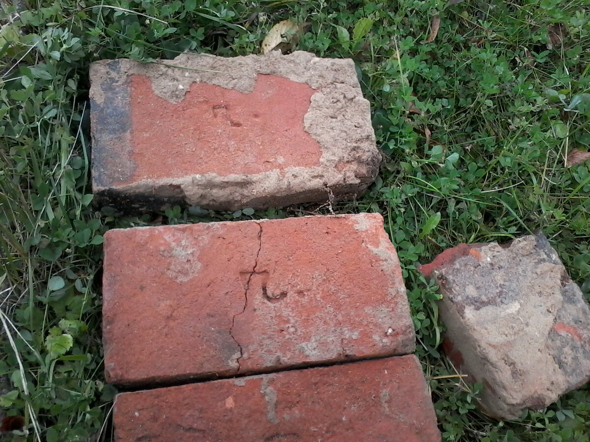 20190924_101047.jpg
