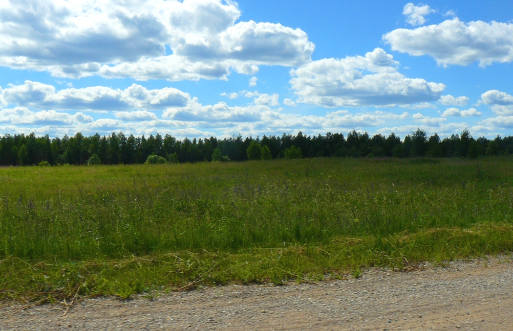 P1370900.JPG