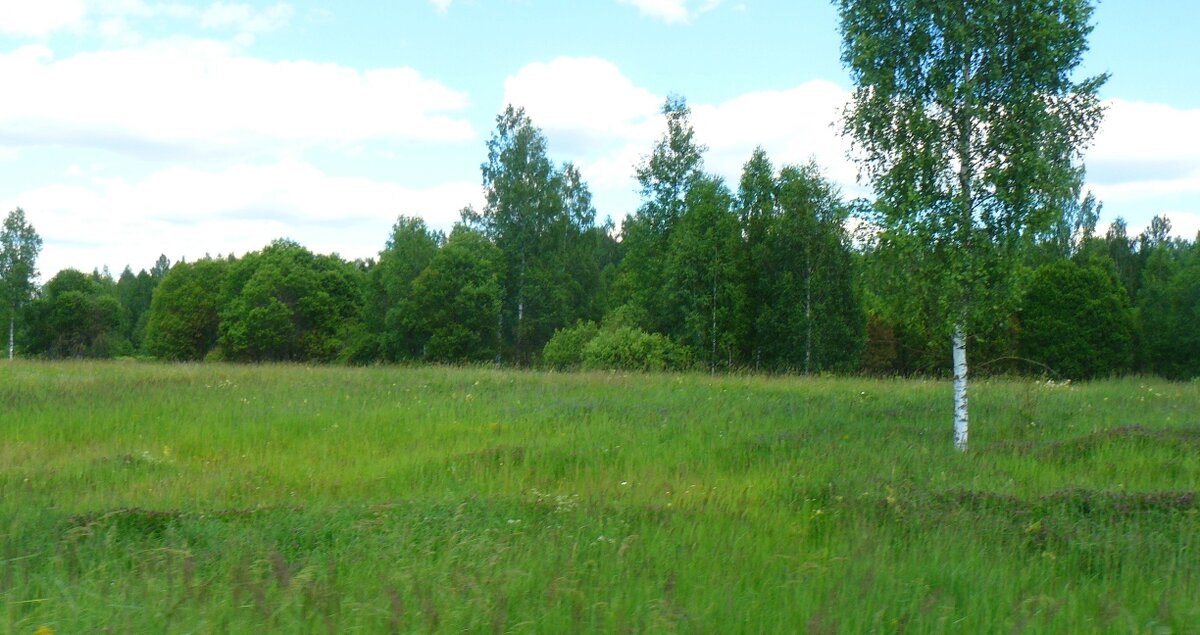 P1370907.JPG