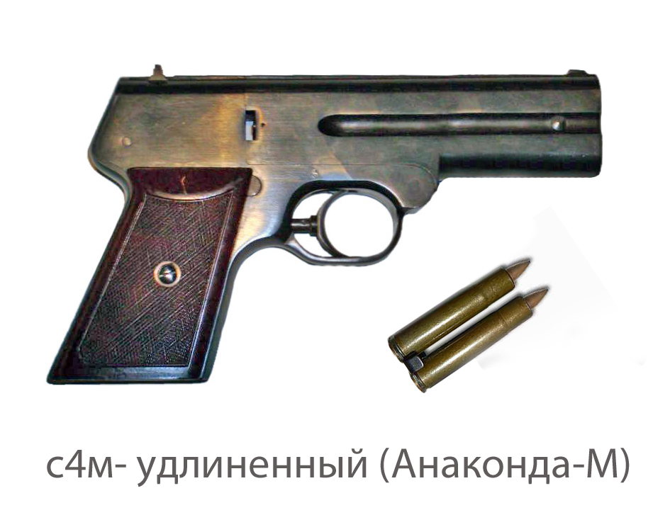 19704788.jpg