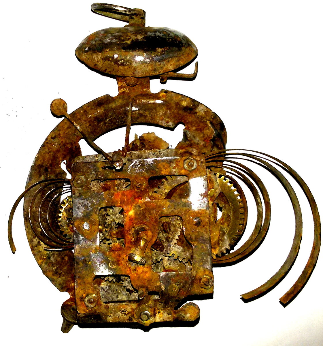 20191008_015536.jpg