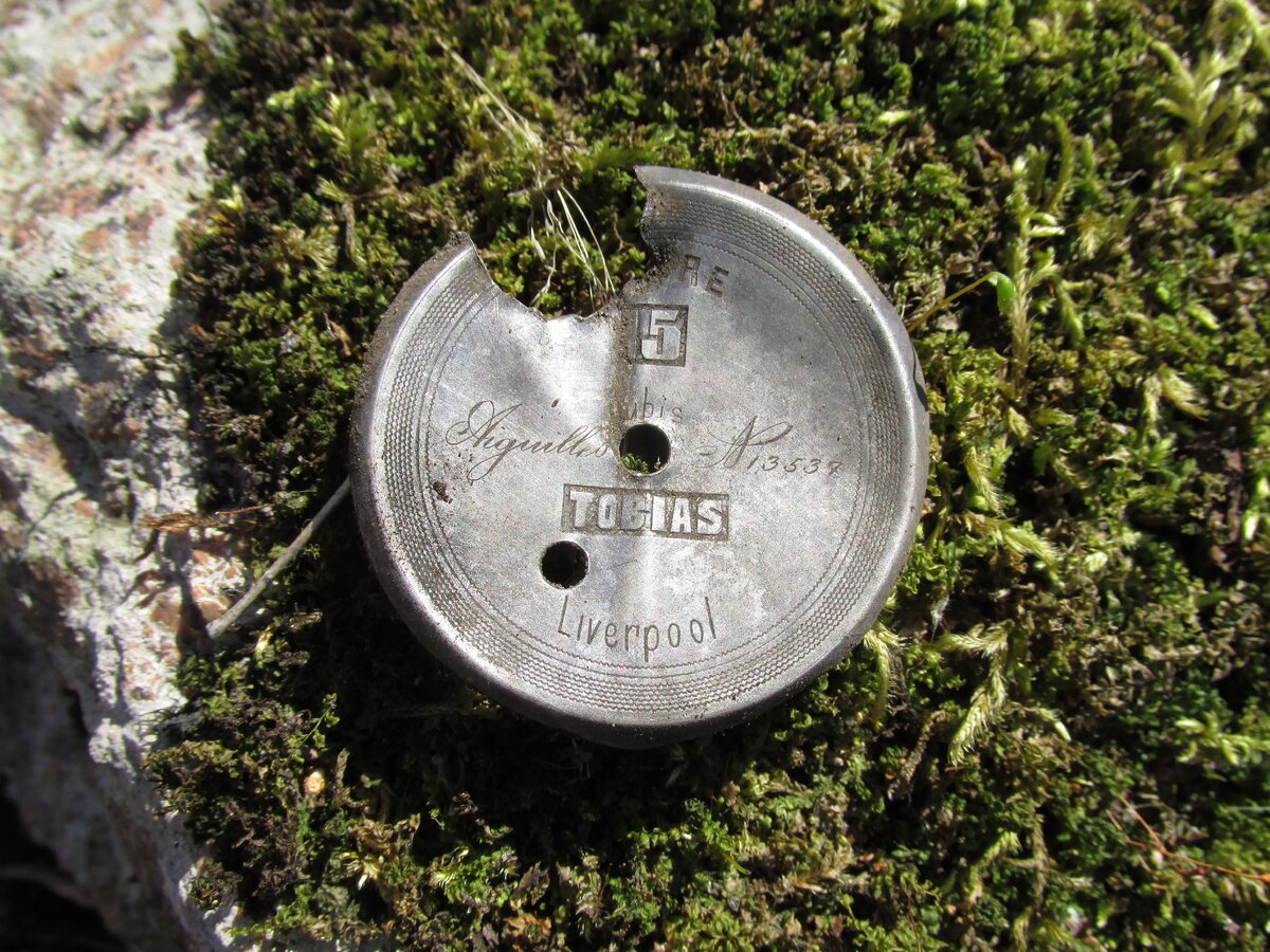 Resize of 4.JPG