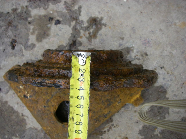 IMGP5389.JPG