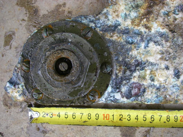 IMGP5402.JPG