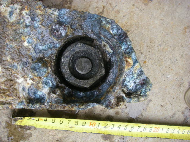 IMGP5403.JPG