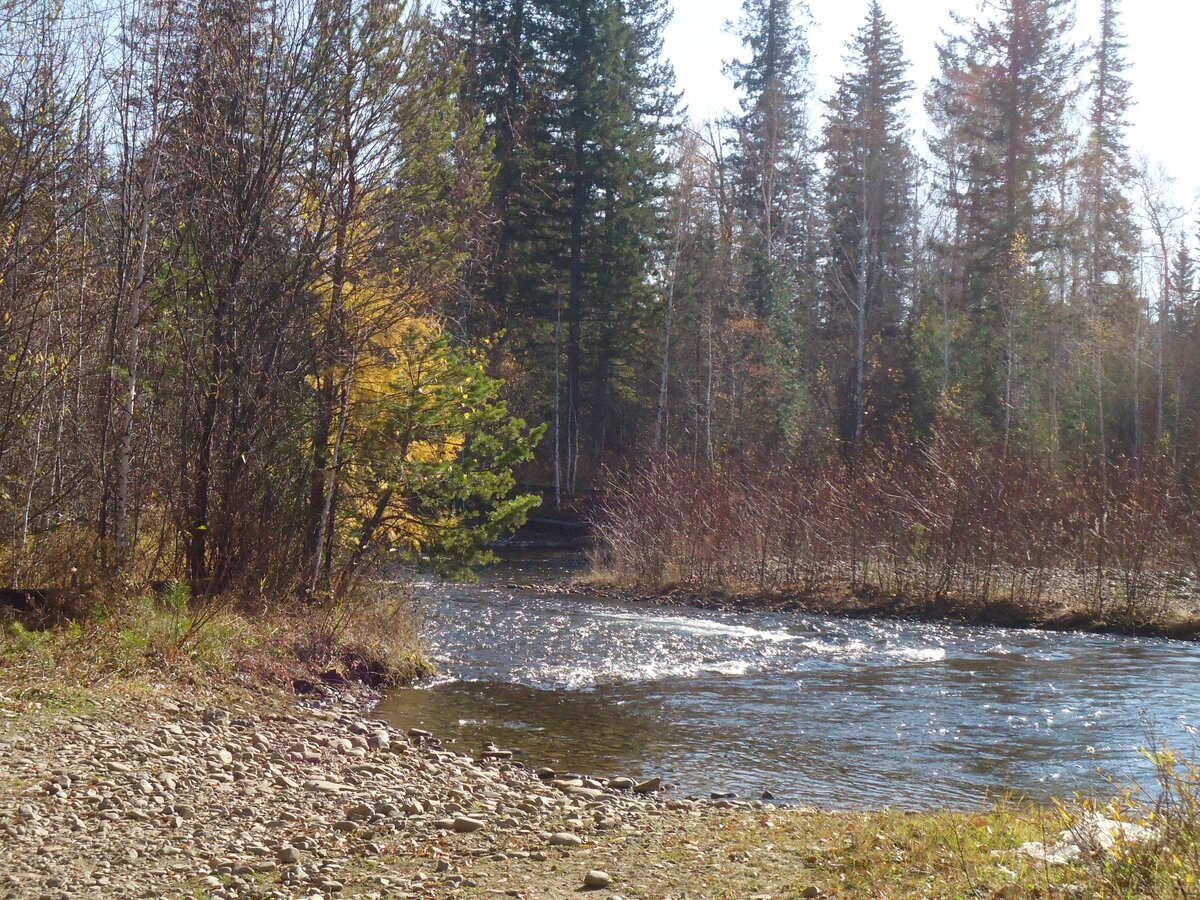 585.JPG