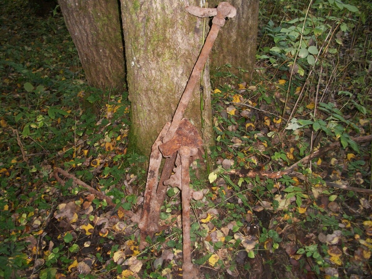 100_4956.JPG