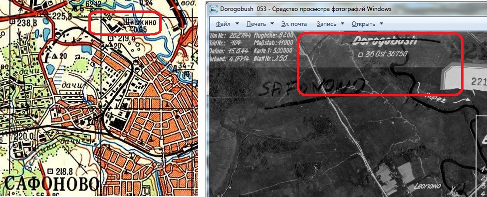 сафоново-шишкино.jpg