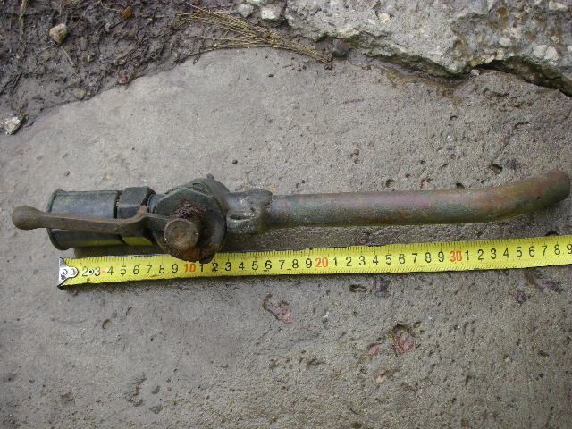 IMGP5484.JPG
