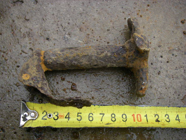 IMGP5491.JPG